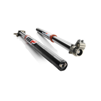 Revisione Forcella Strada Tradizionale